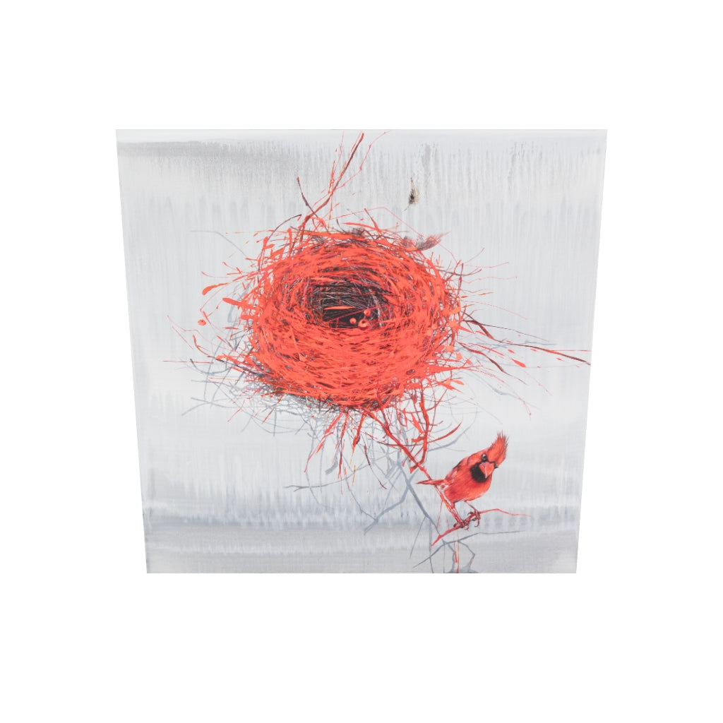 Roter Kardinal Bild 2
