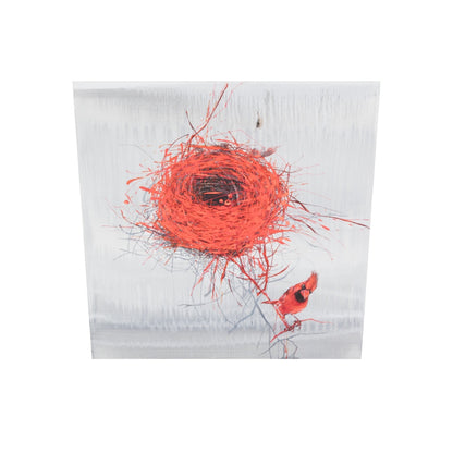 Roter Kardinal Bild 2
