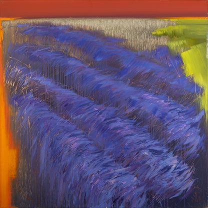 Provence Lila Feld Bild 1
