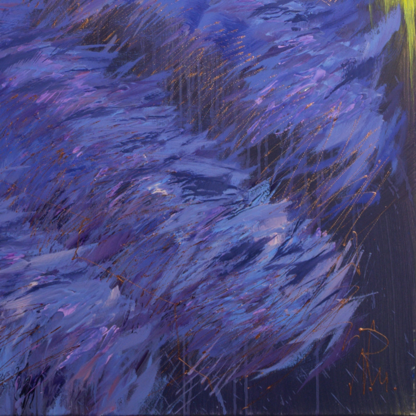 Provence Lila Feld Bild 5