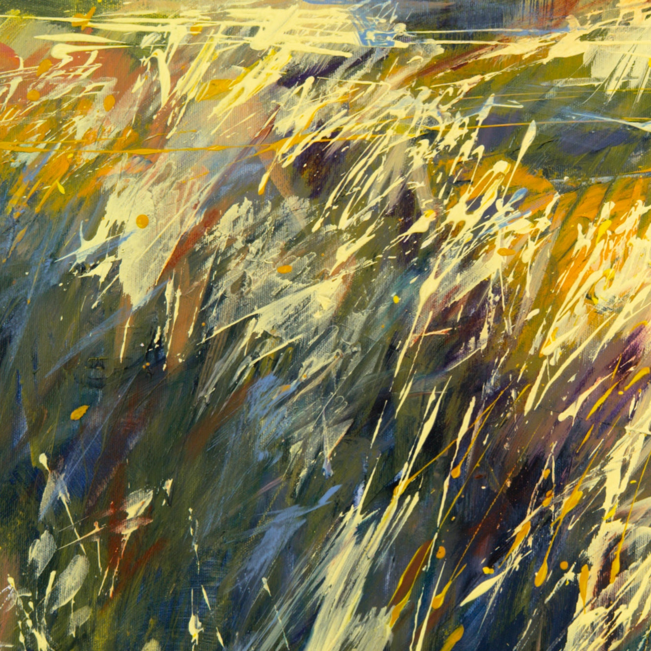 Rapschlandschaft Bild 5