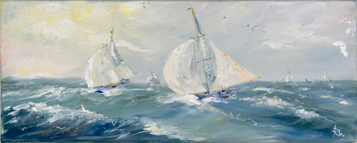 Regatta auf Ostsee Bild 1