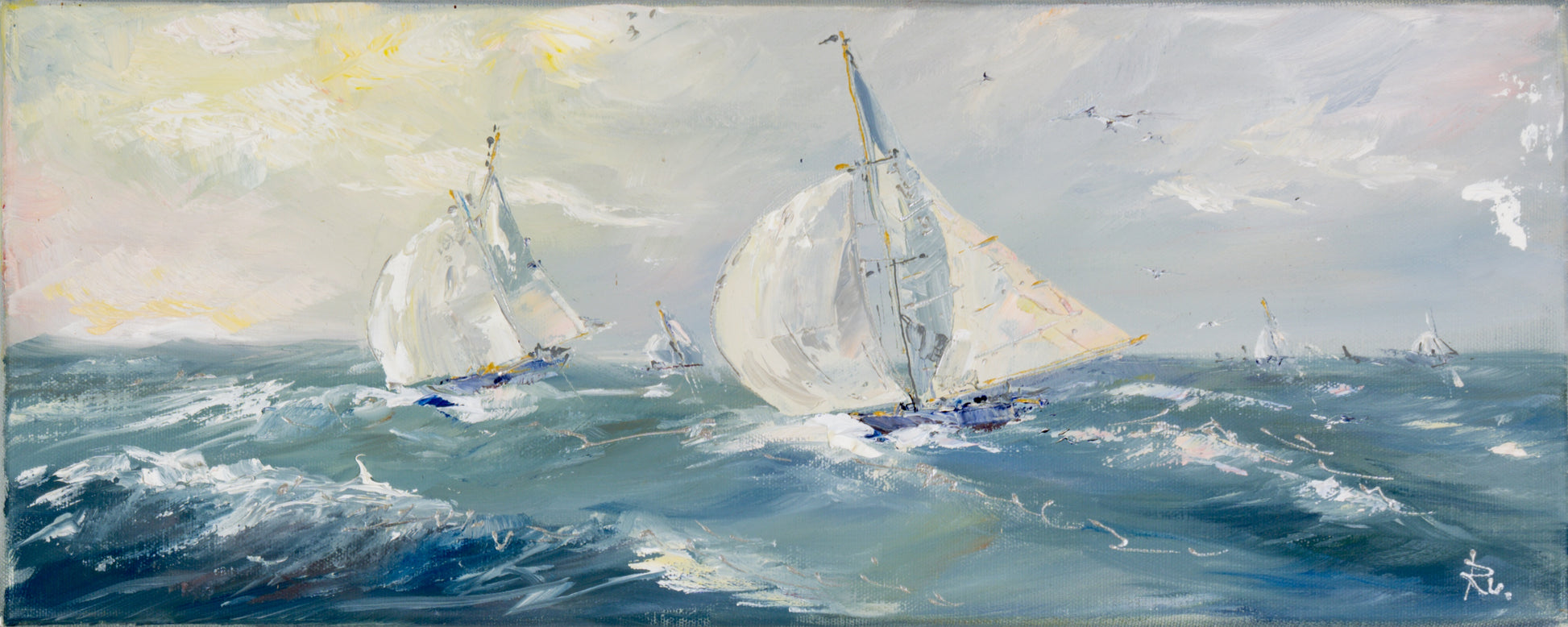 Regatta auf Ostsee Bild 1