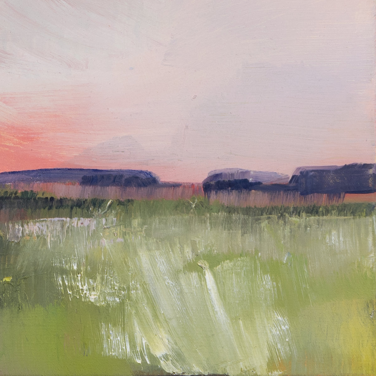 Rosa Wolke Bild 3