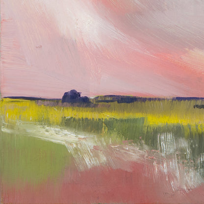 Rosa Wolke Bild 4