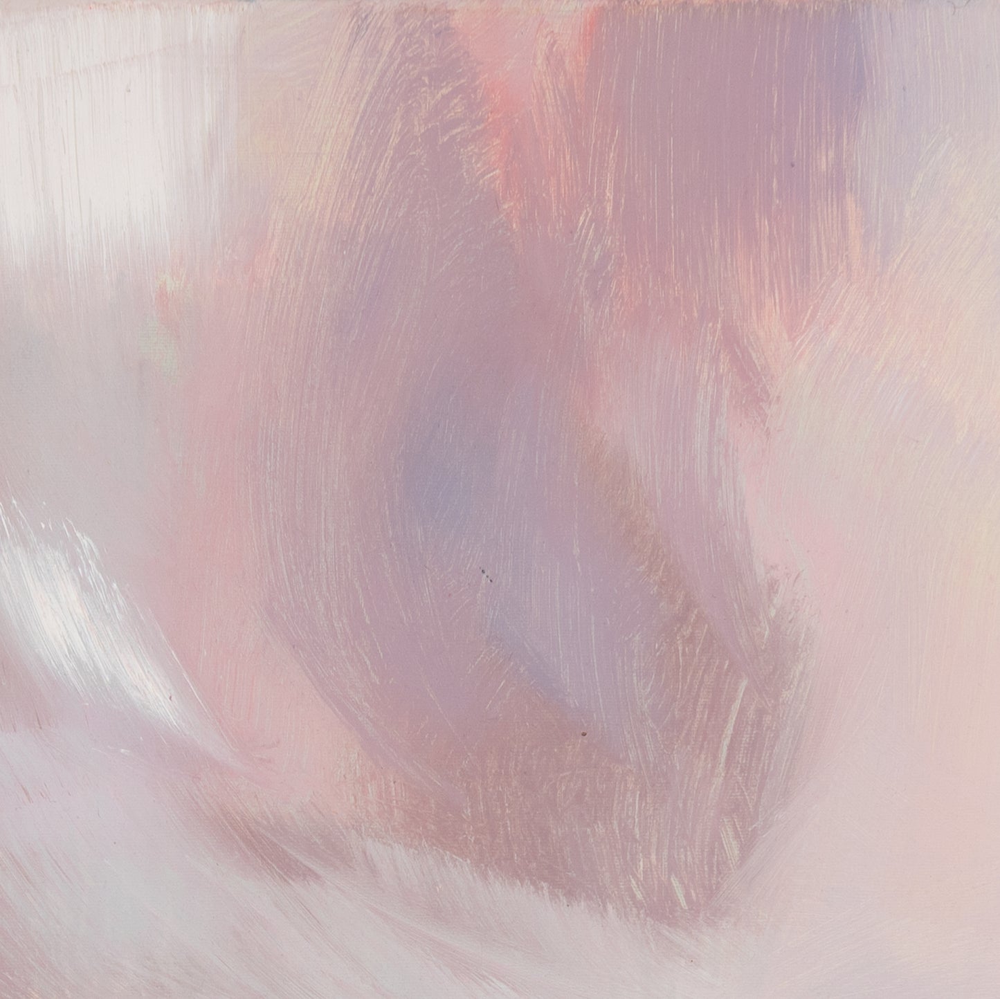 Rosa Wolke Bild 5