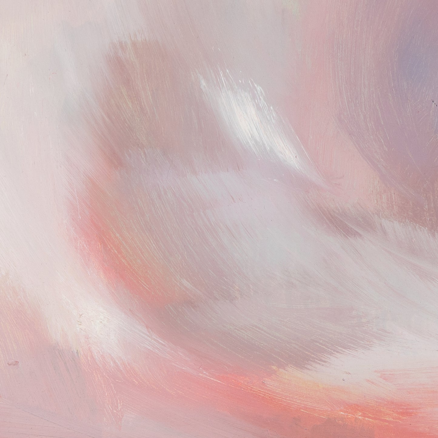 Rosa Wolke Bild 6