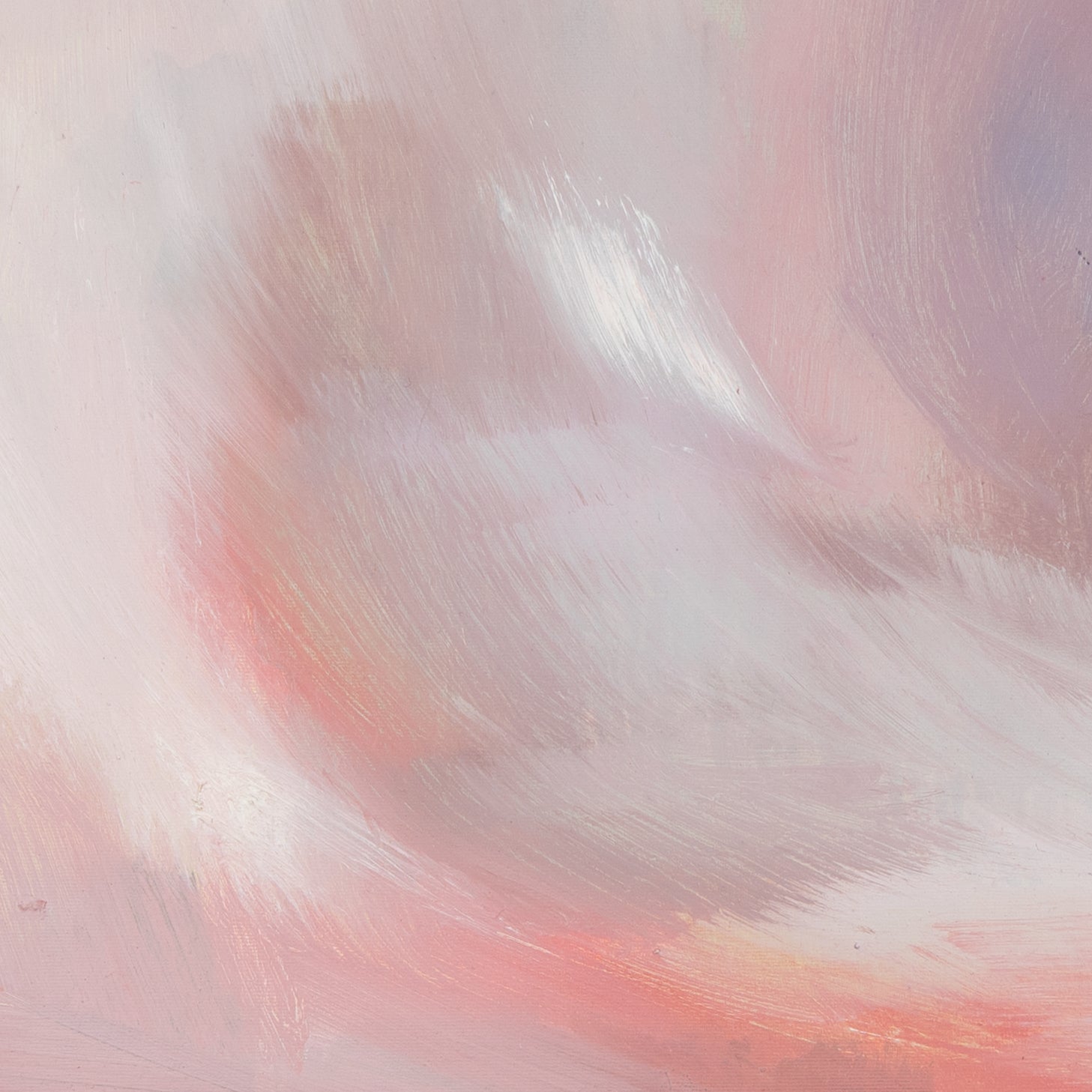 Rosa Wolke Bild 6