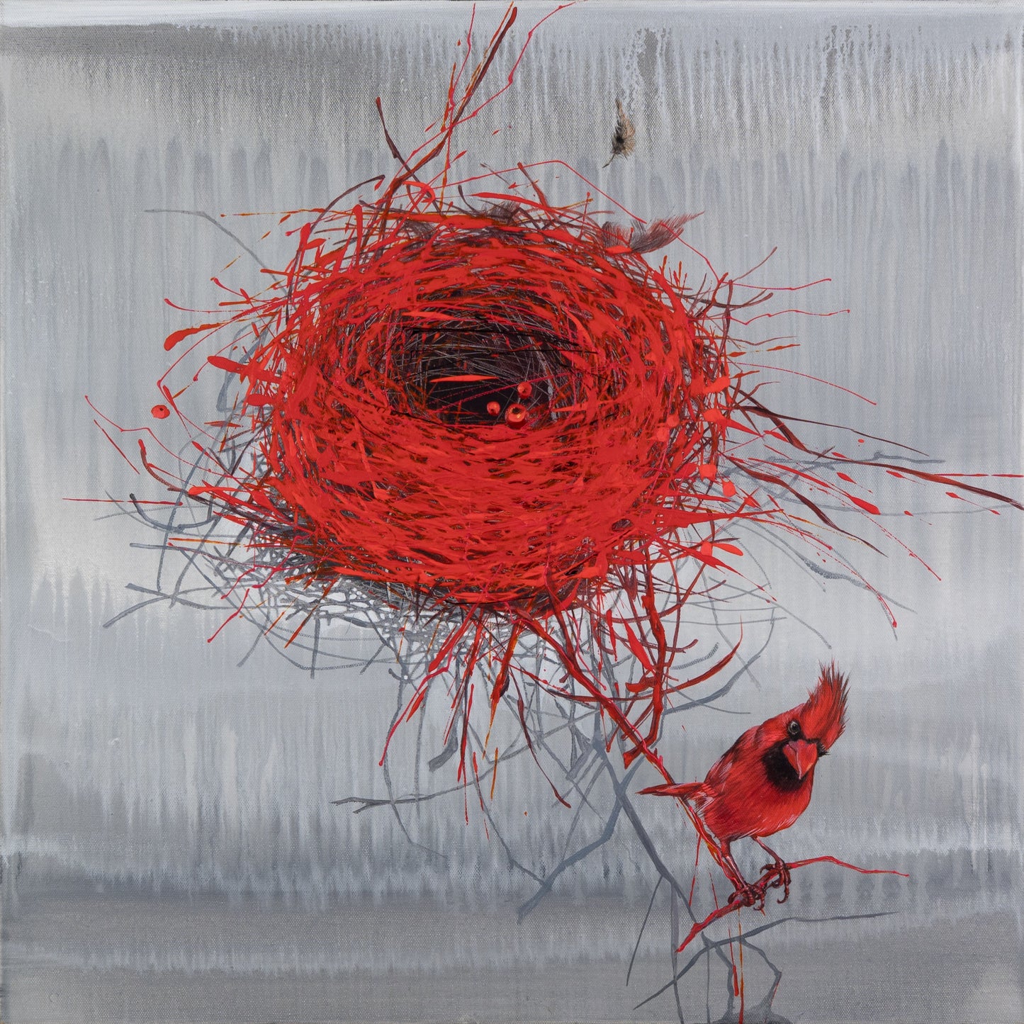 Roter Kardinal Bild 1