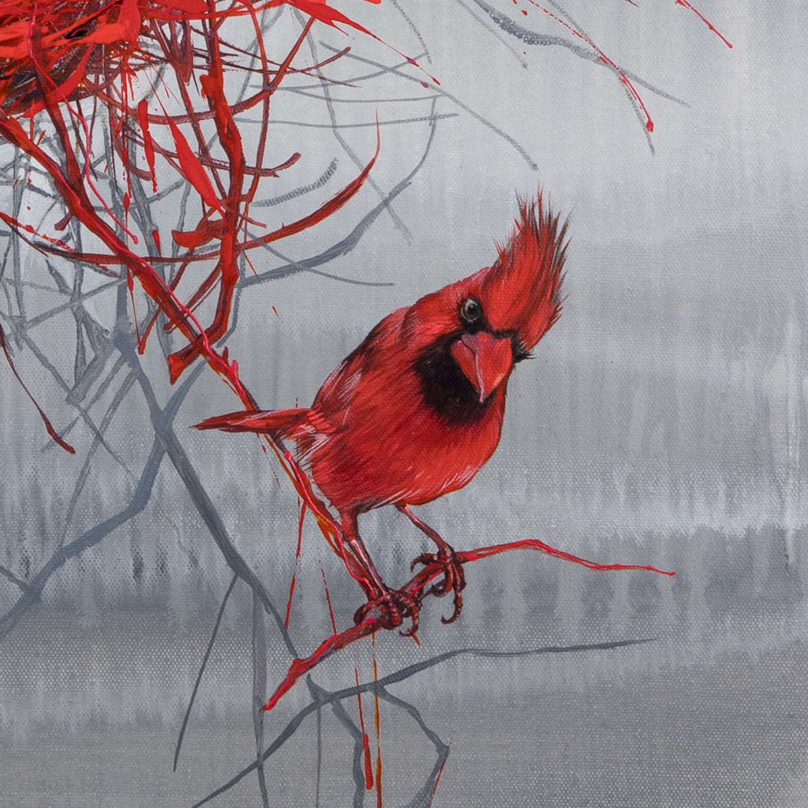 Roter Kardinal Bild 3
