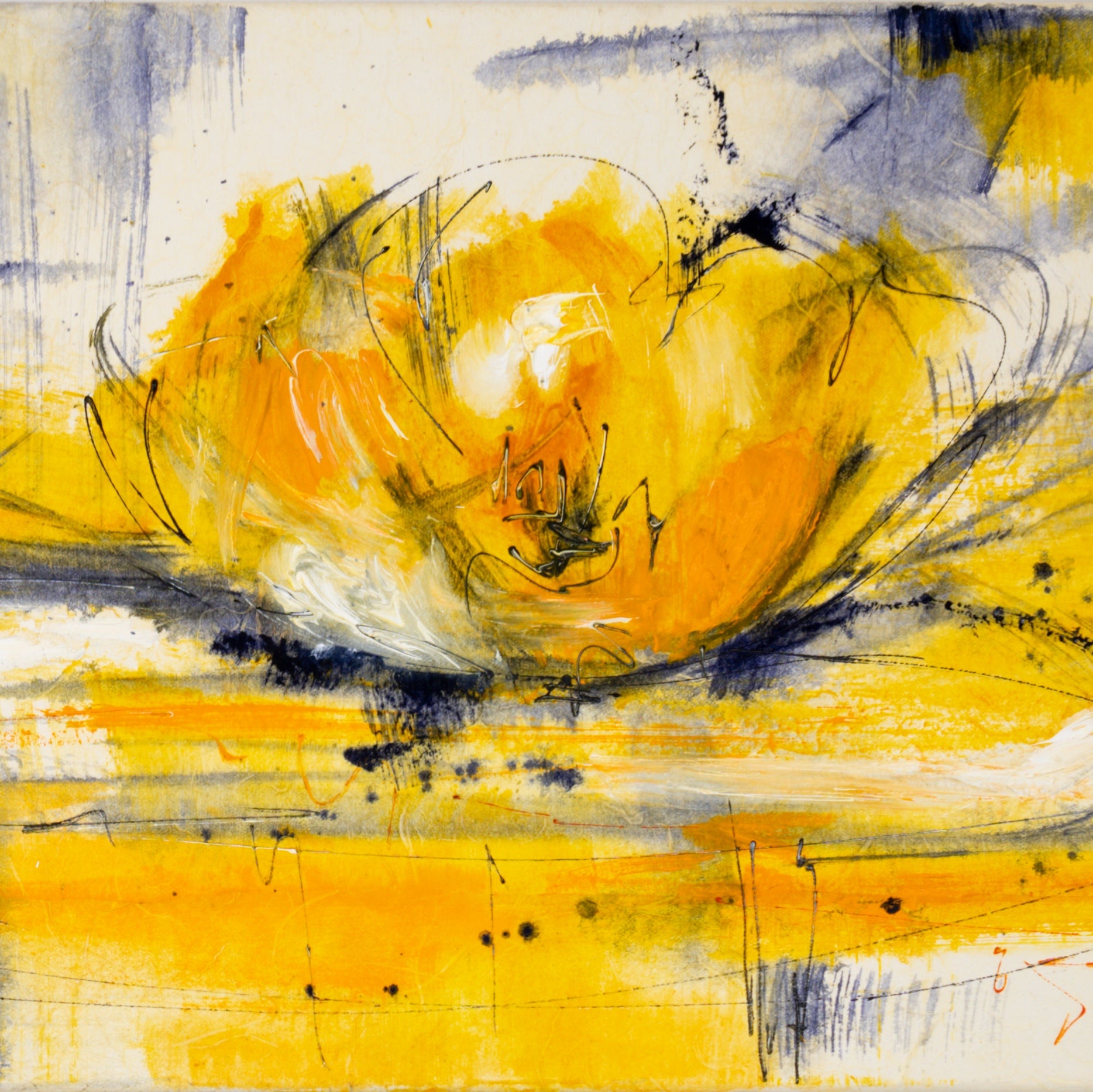 Seerosen Bild 3