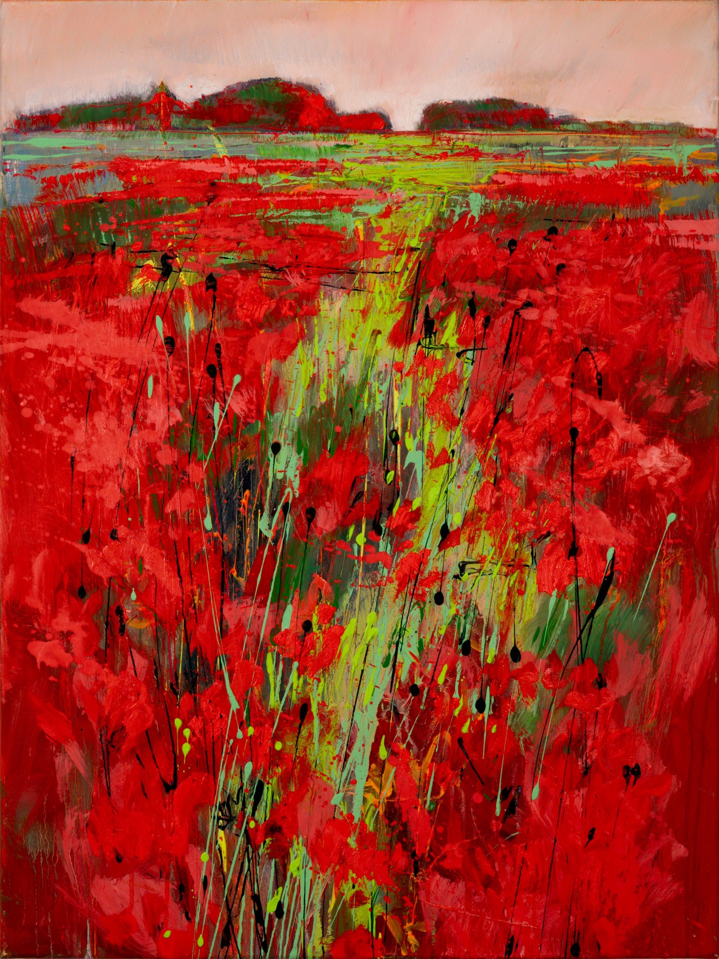 Weg im Mohn Bild 1