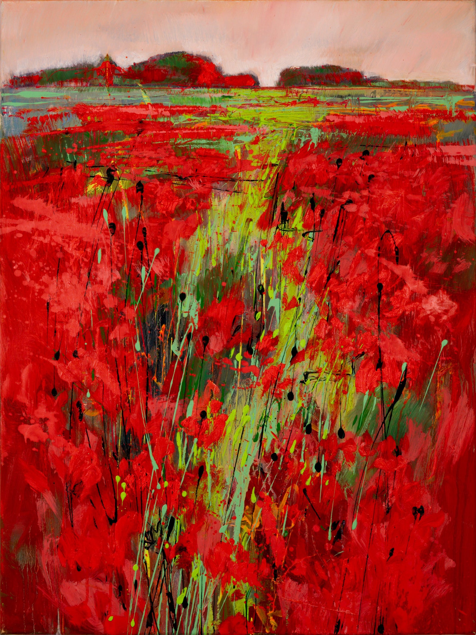 Weg im Mohn Bild 1