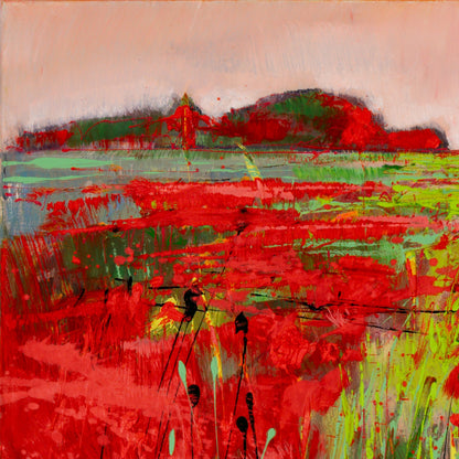 Weg im Mohn Bild 3